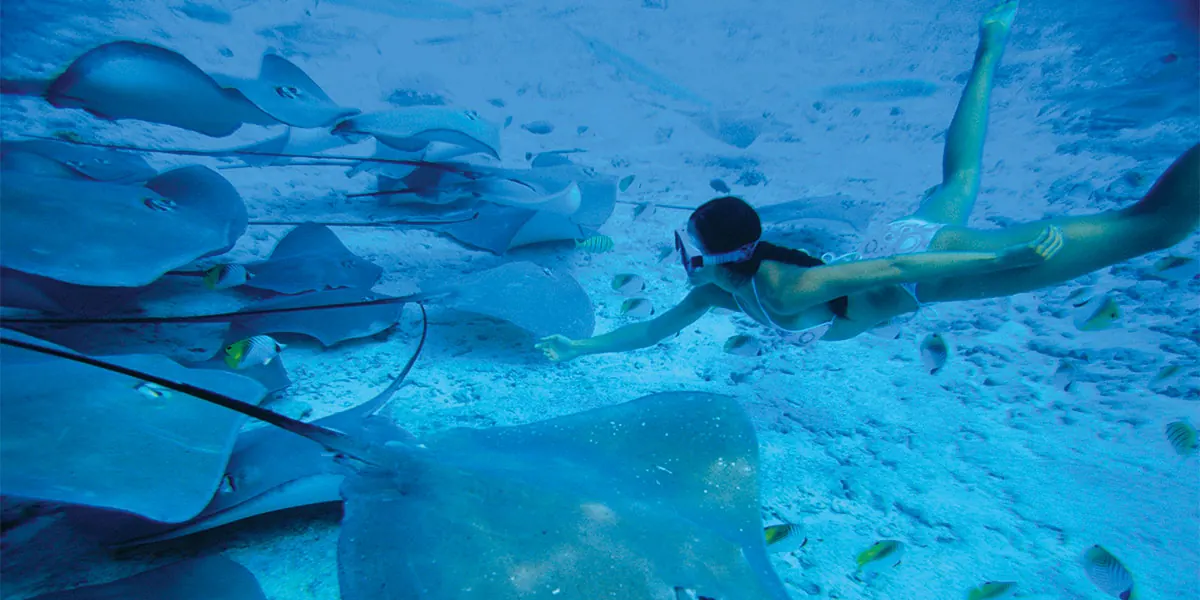 Bora Bora – The First Born (3)