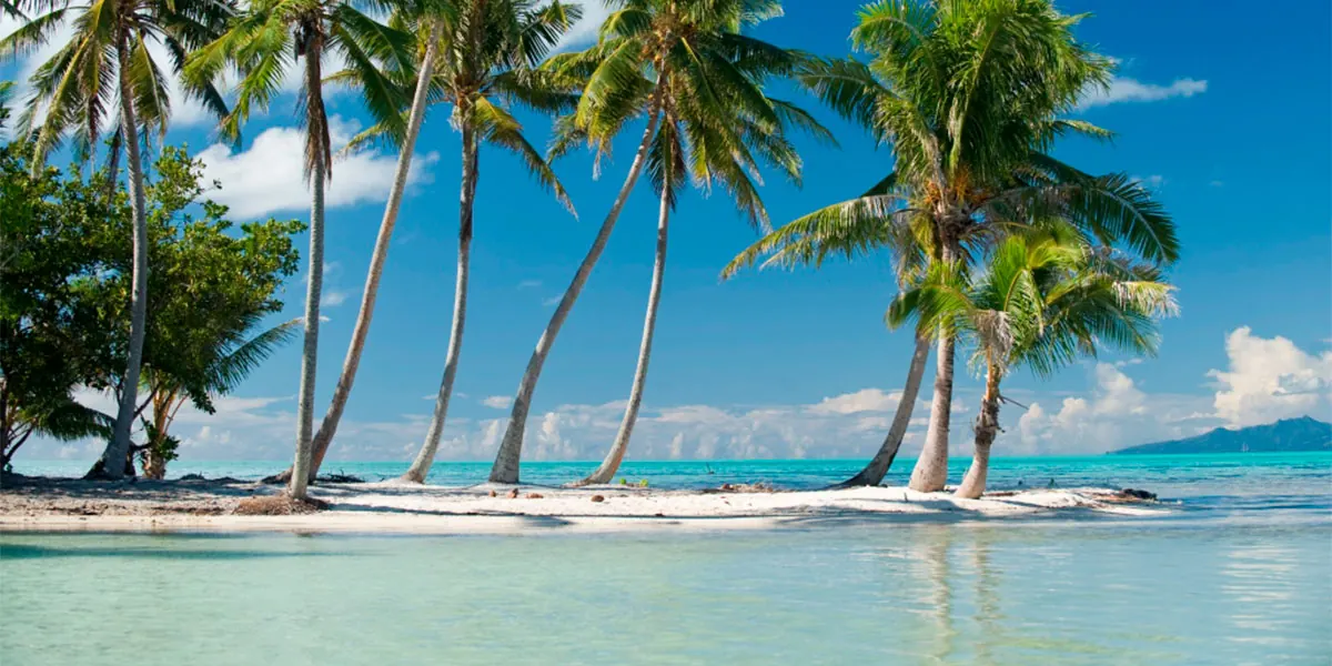 Taha'a – The Vanilla Island